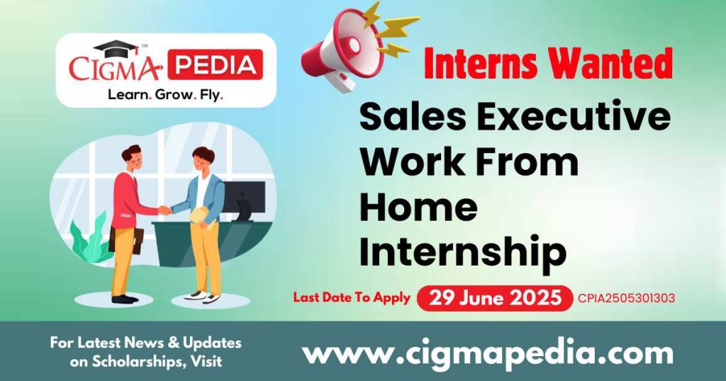 Sales Executive Work From Home Internship
