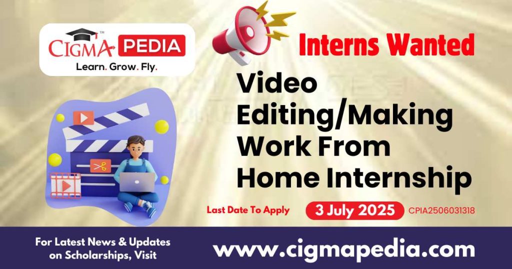 Video Editing/Making Work From Home Internship