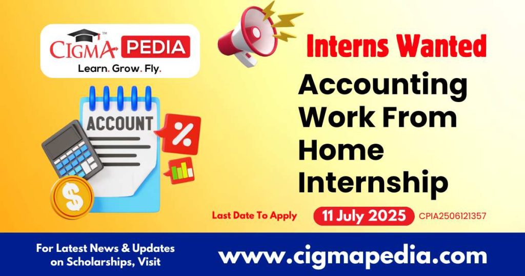 Accounting Work From Home Internship