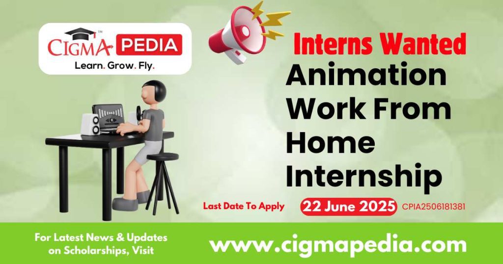 Animation Work From Home Internship