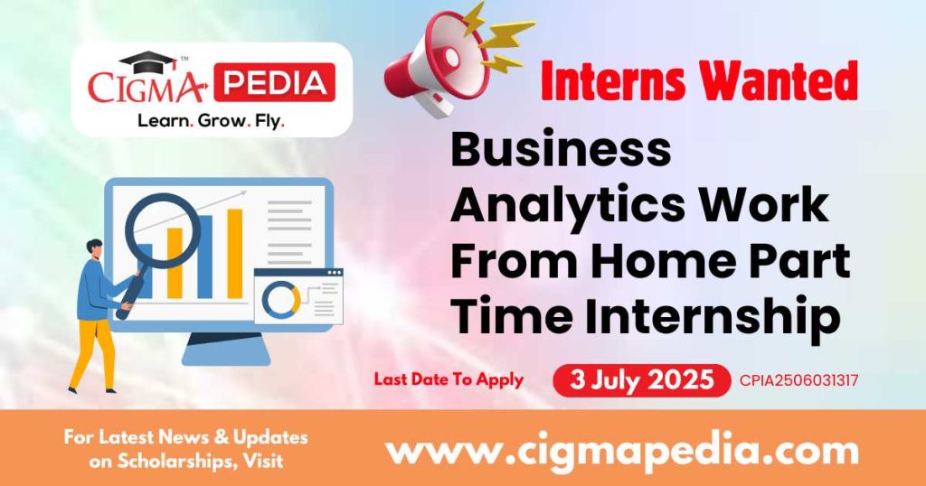 Business Analytics Work From Home Part Time Internship