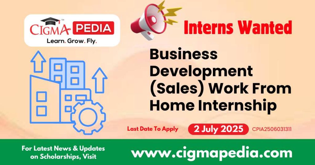 Business Development (Sales) Work From Home Internship