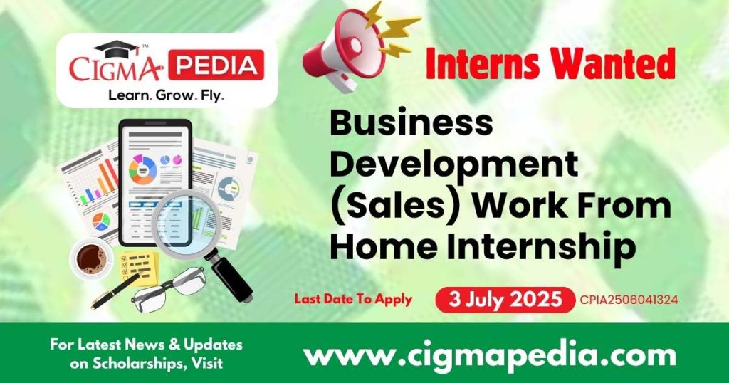 Business Development (Sales) Work From Home Internship