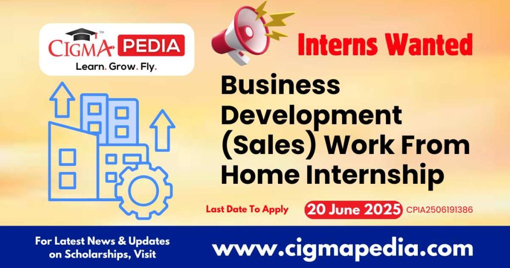 Business Development (Sales) Work From Home Internship