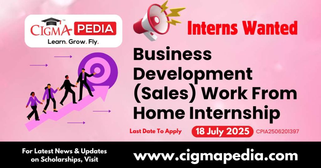 Business Development (Sales) Work From Home Internship