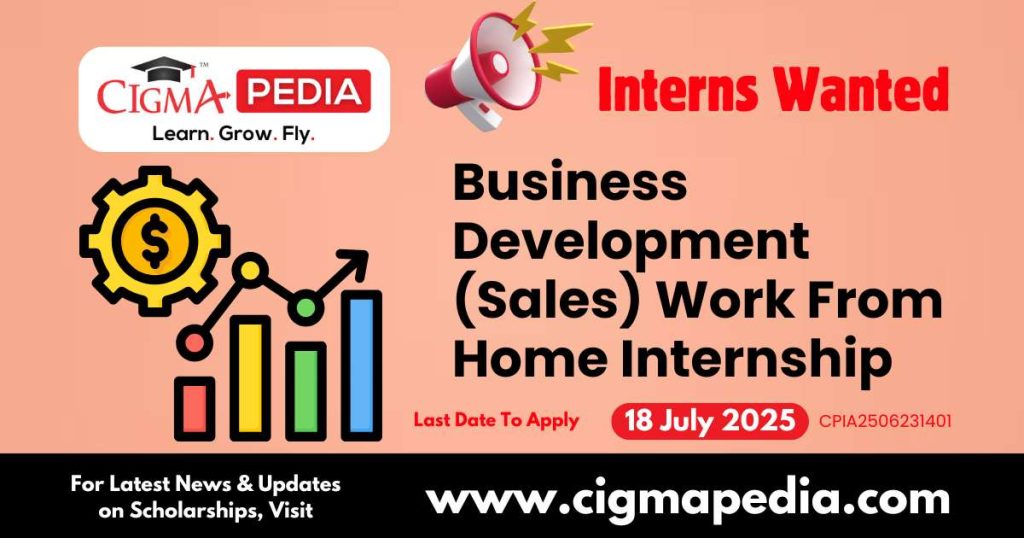 Business Development (Sales) Work From Home Internship