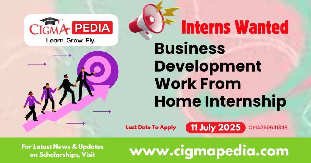Business Development Work From Home Internship