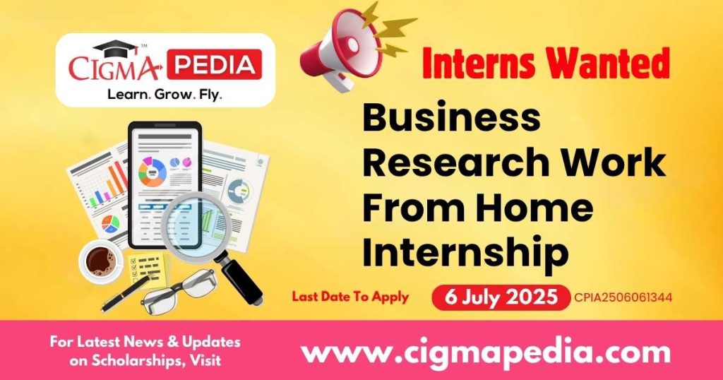 Business Research Work From Home Internship