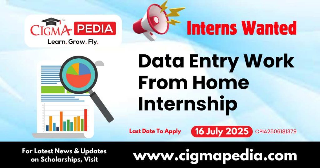 Data Entry Work From Home Internship