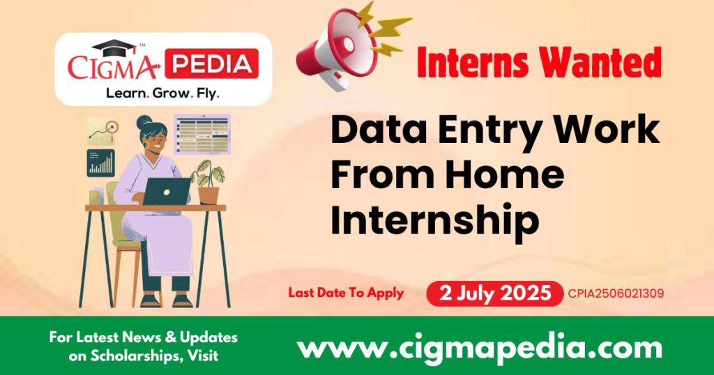 Data Entry Work From Home Internship