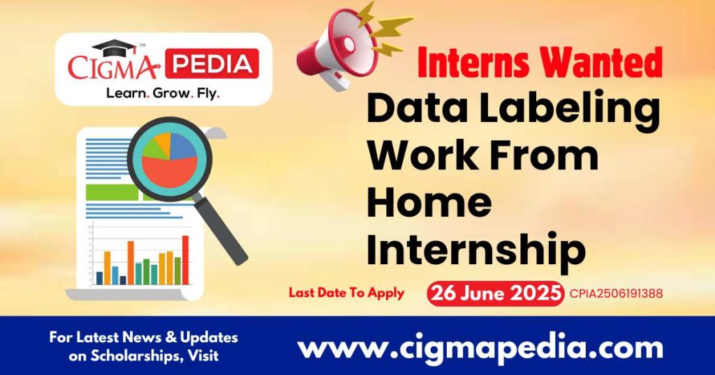 Data Labeling Work From Home Internship