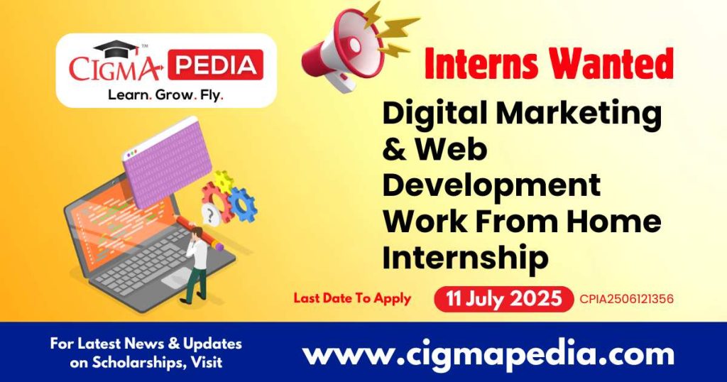 Digital Marketing & Web Development Work From Home Internship