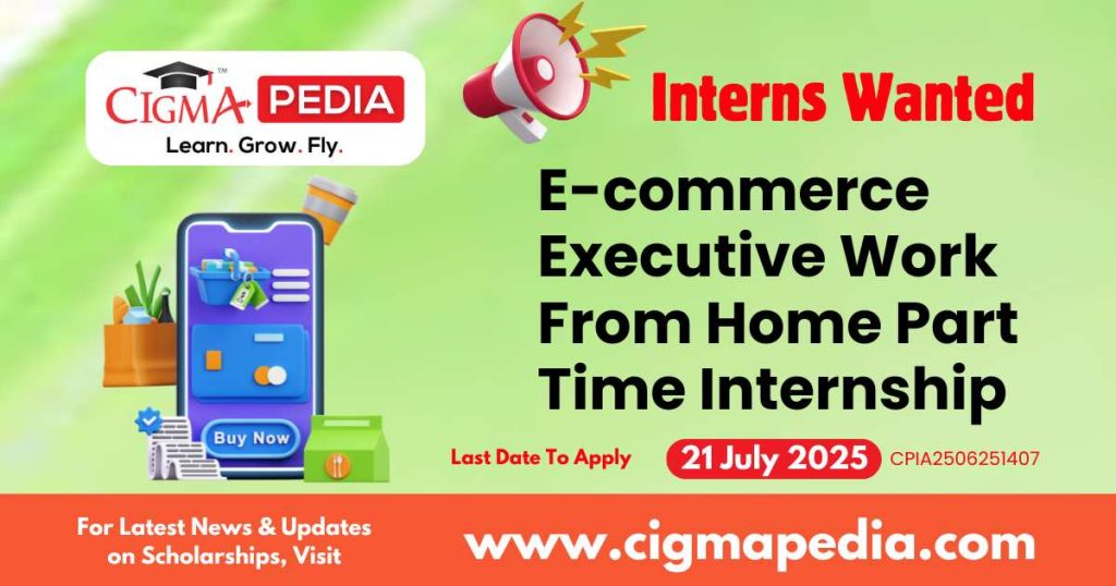E-commerce Executive Work From Home Part Time Internship