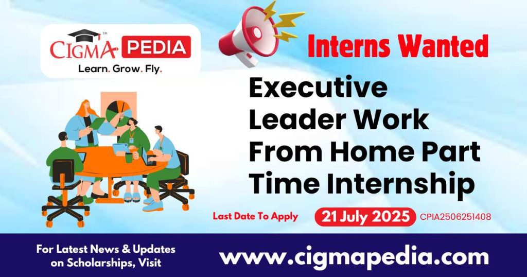 Executive Leader Work From Home Part Time Internship