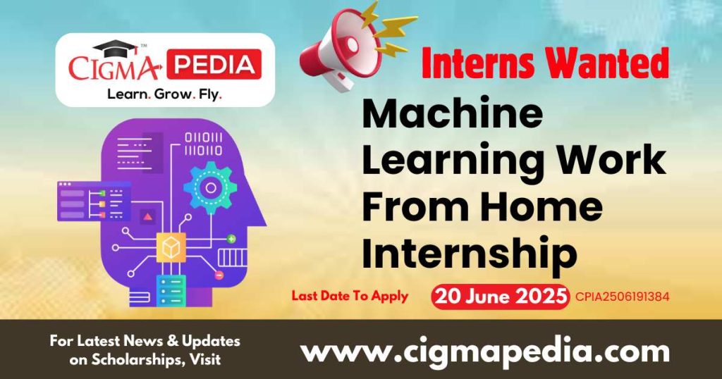 Machine Learning Work From Home Internship