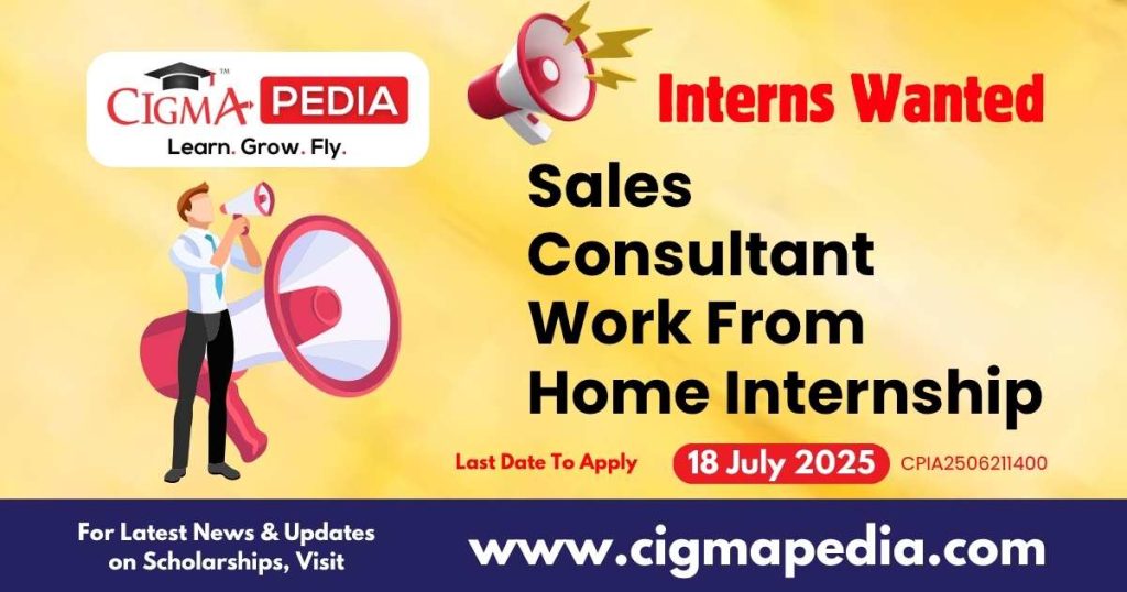 Sales Consultant Work From Home Internship
