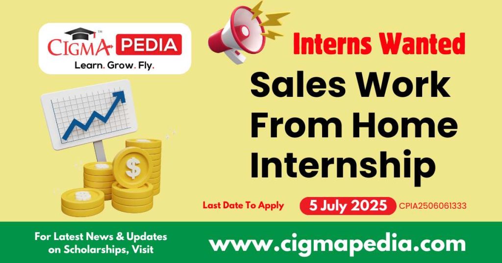 Sales Work From Home Internship