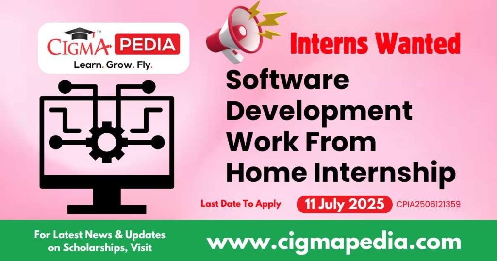 Software Development Work From Home Internship