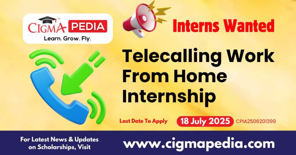 Telecalling Work From Home Internship