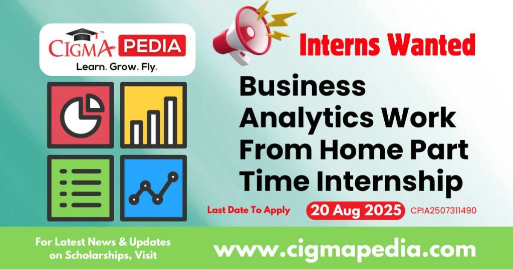 Business Analytics Work From Home Part Time Internship