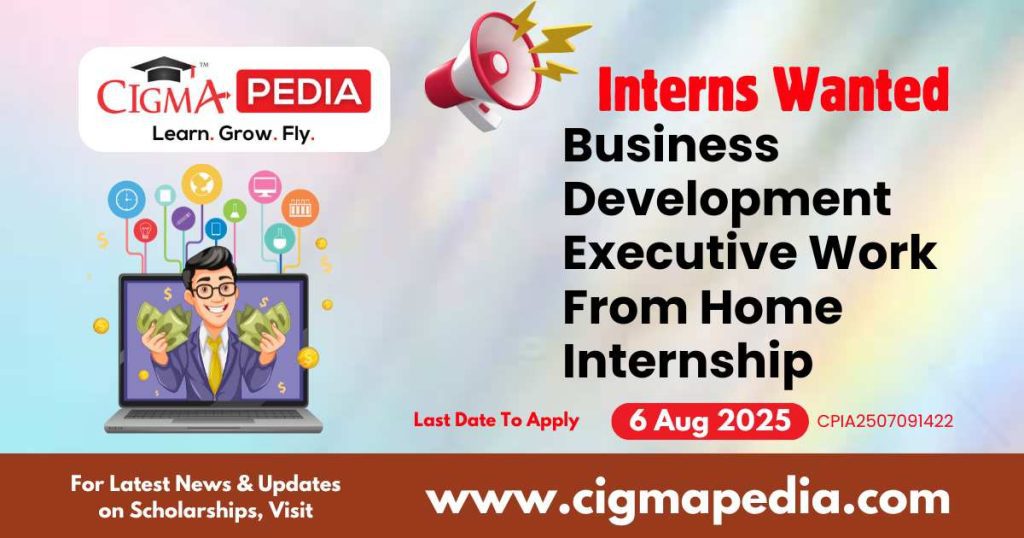 Business Development Executive Work From Home Internship