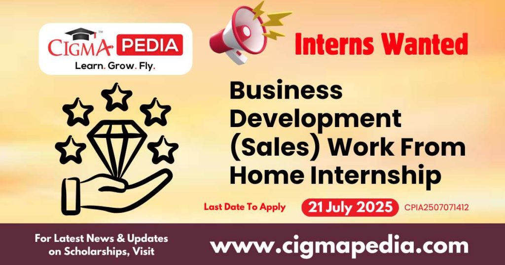 Business Development (Sales) Work From Home Internship