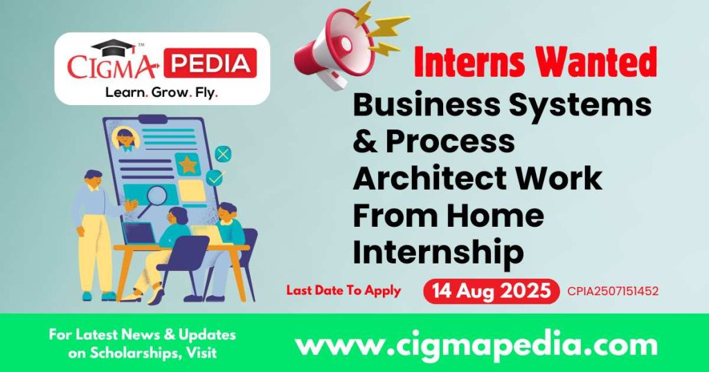 Business Systems & Process Architect Work From Home Internship
