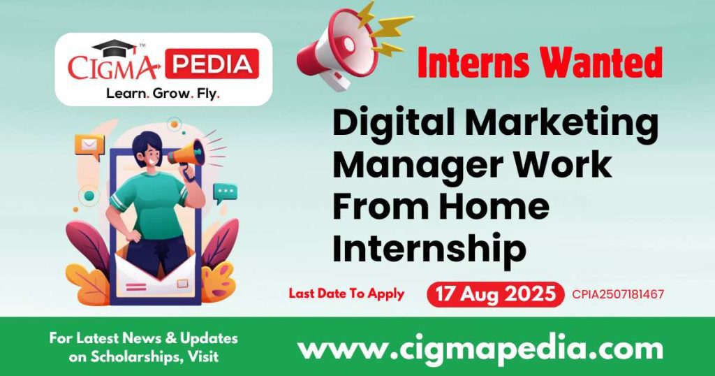 Digital Marketing Manager Work From Home Internship