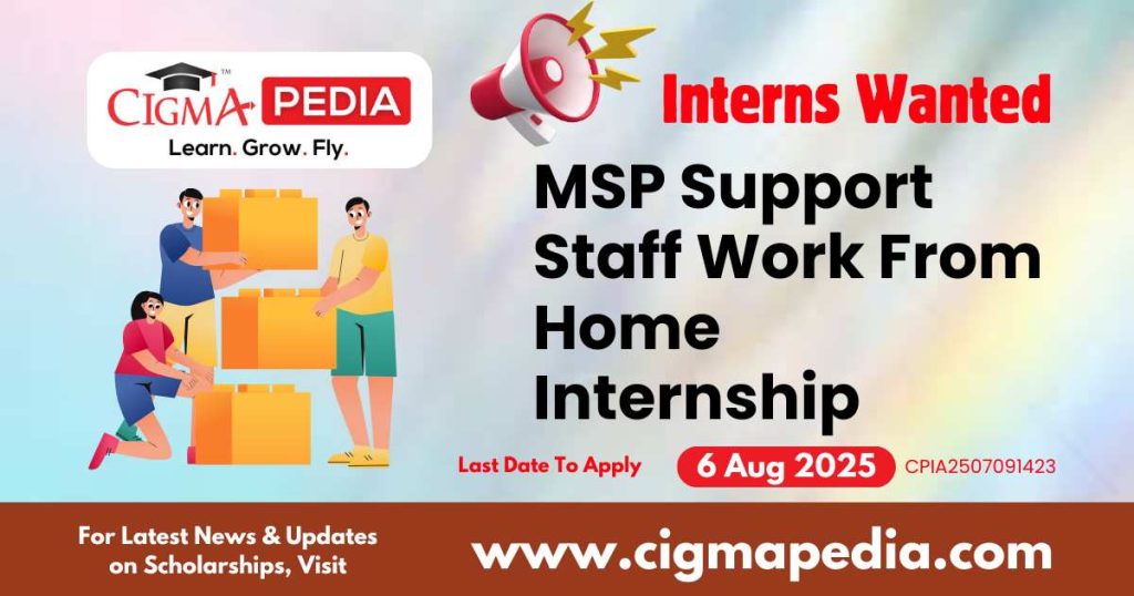 MSP Support Staff Work From Home Internship