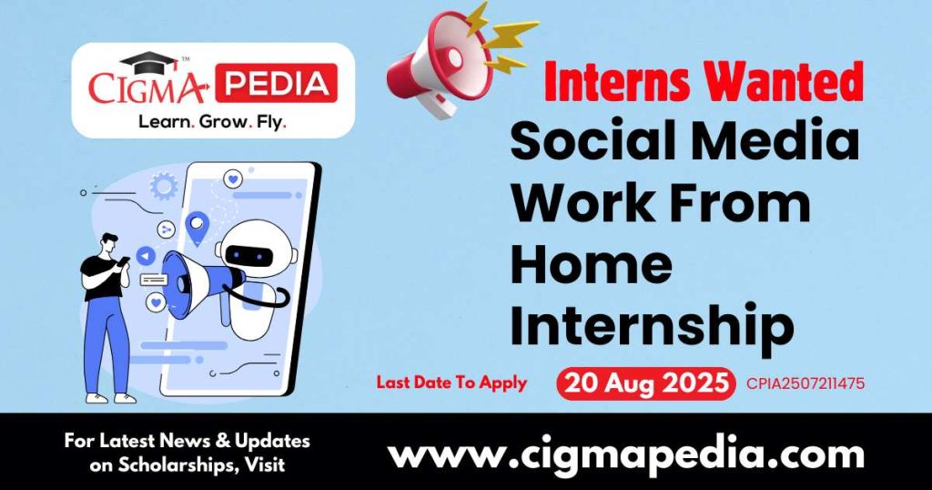 Social Media Work From Home Internship
