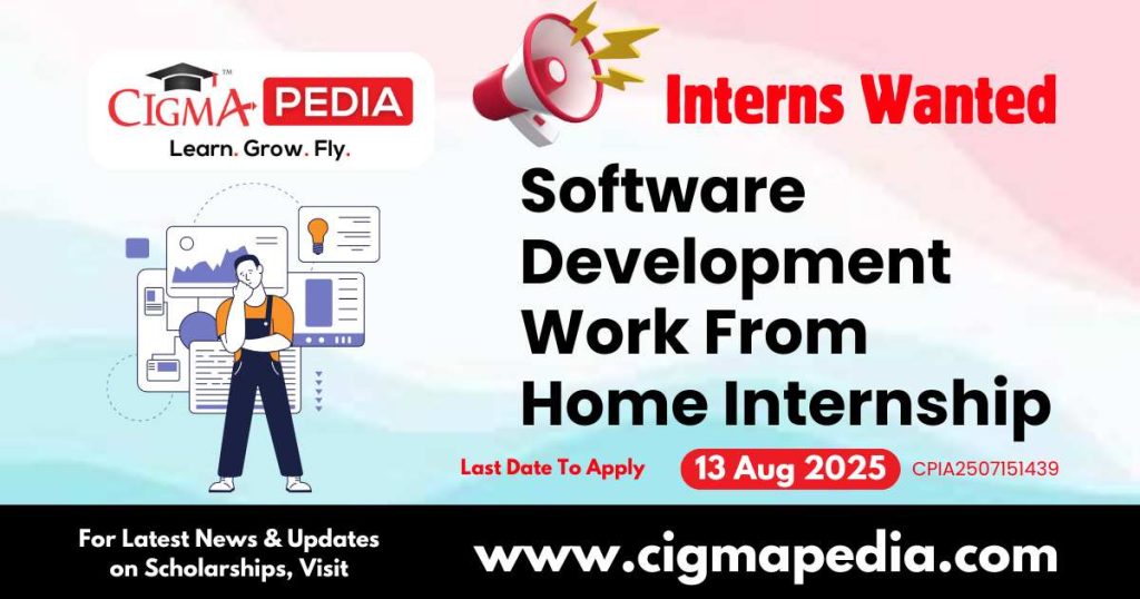 Software Development Work From Home Internship