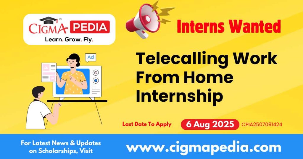 Telecalling Work From Home Internship