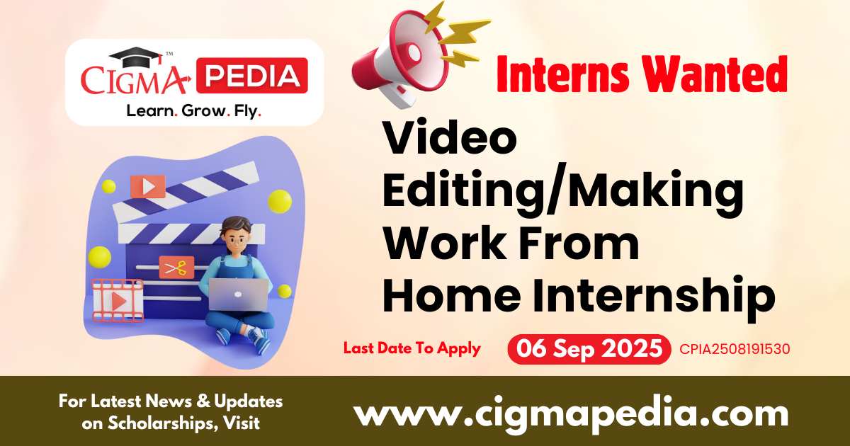 Video Editing/Making Work From Home Internship