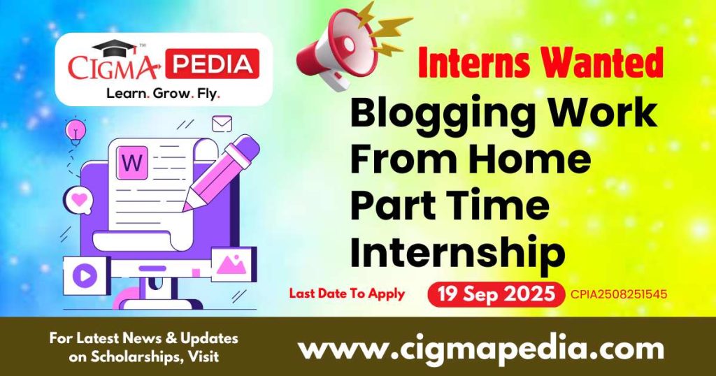 Blogging Work From Home Part Time Internship