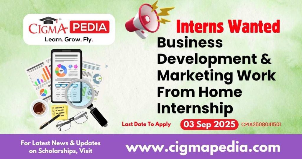 Business Development & Marketing Work From Home Internship