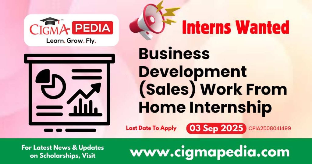 Business Development (Sales) Work From Home Internship