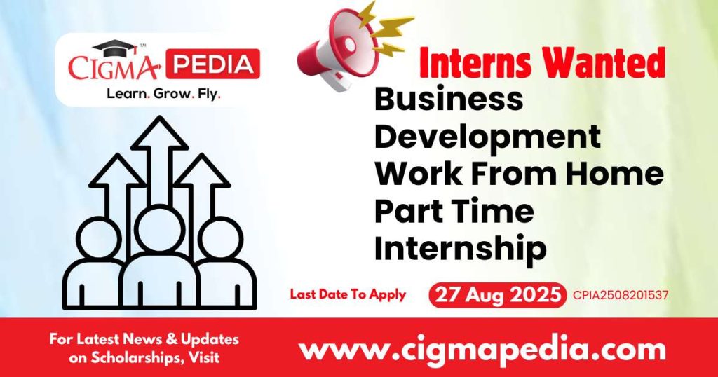 Business Development Work From Home Part Time Internship