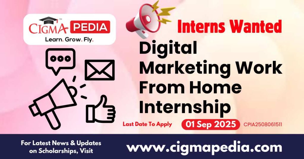 Digital Marketing Work From Home Internship