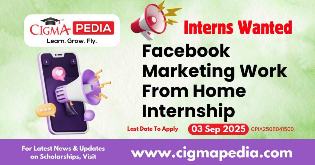 Facebook Marketing Work From Home Internship