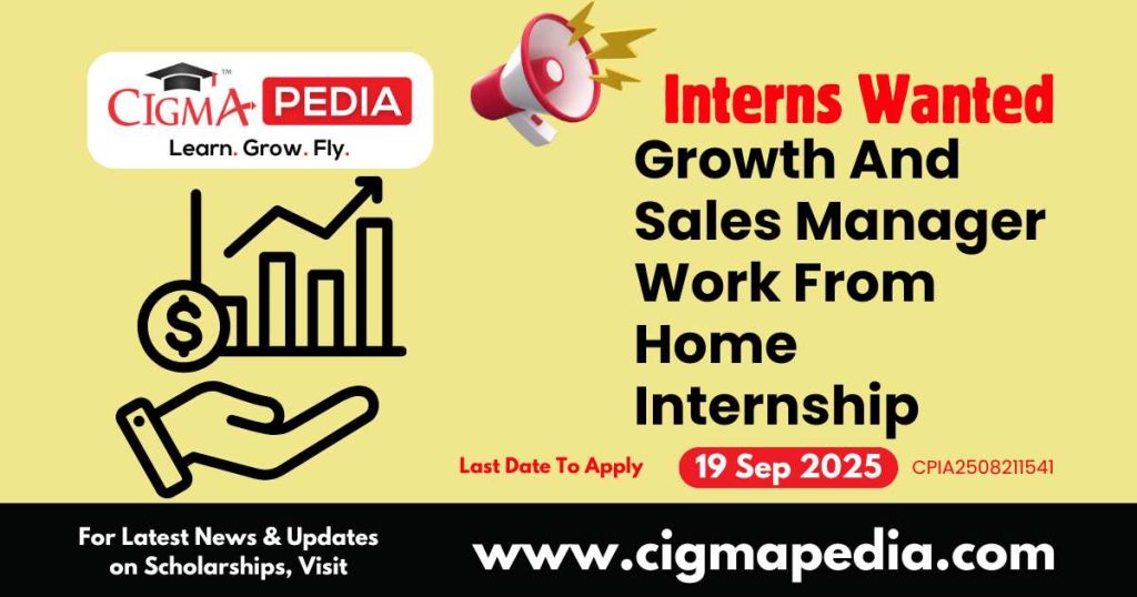 Growth And Sales Manager Work From Home Internship