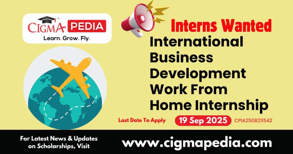 International Business Development Work From Home Internship