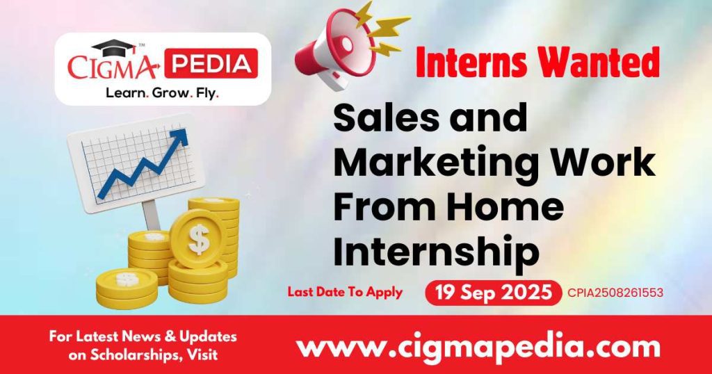 Sales and Marketing Work From Home Internship