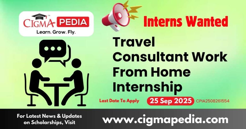 Travel Consultant Work From Home Internship