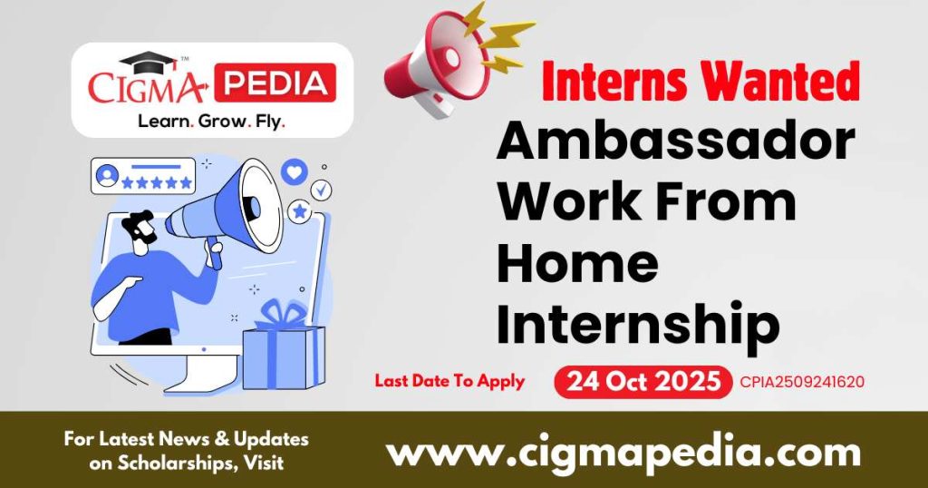 Ambassador Work From Home Internship