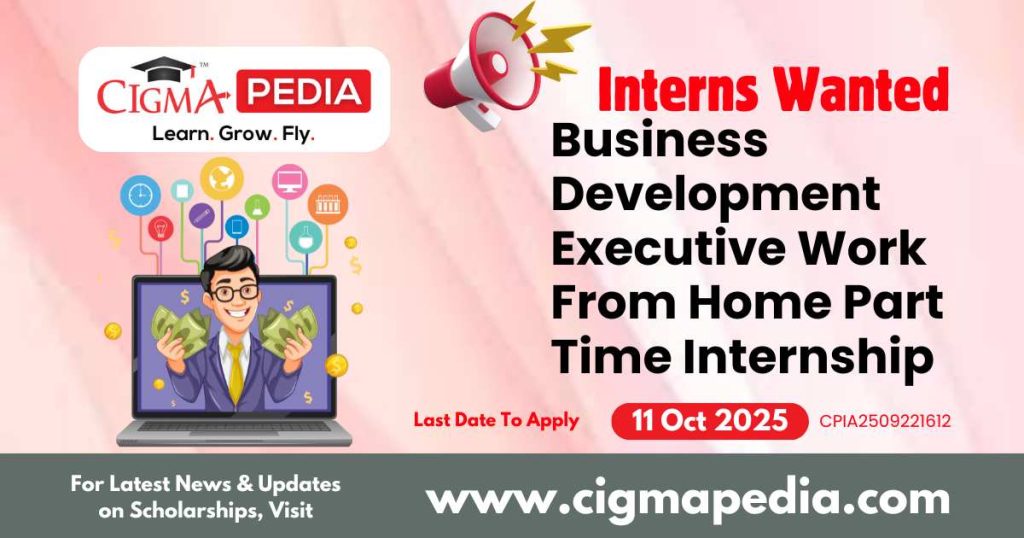 Business Development Executive Work From Home Part Time Internship