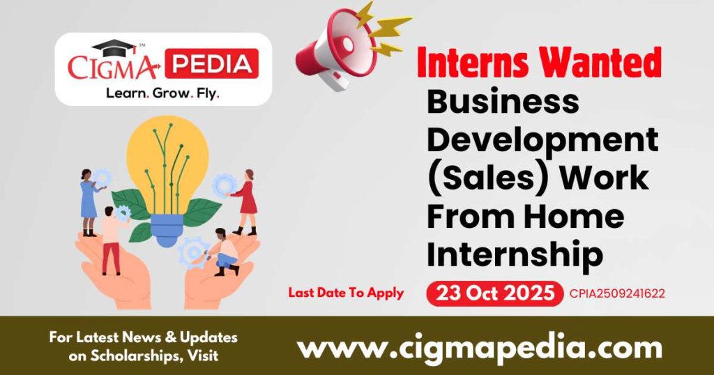 Business Development (Sales) Work From Home Internship