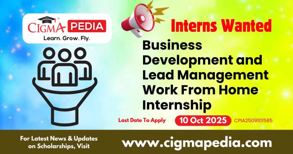 Business Development and Lead Management Work From Home Internship