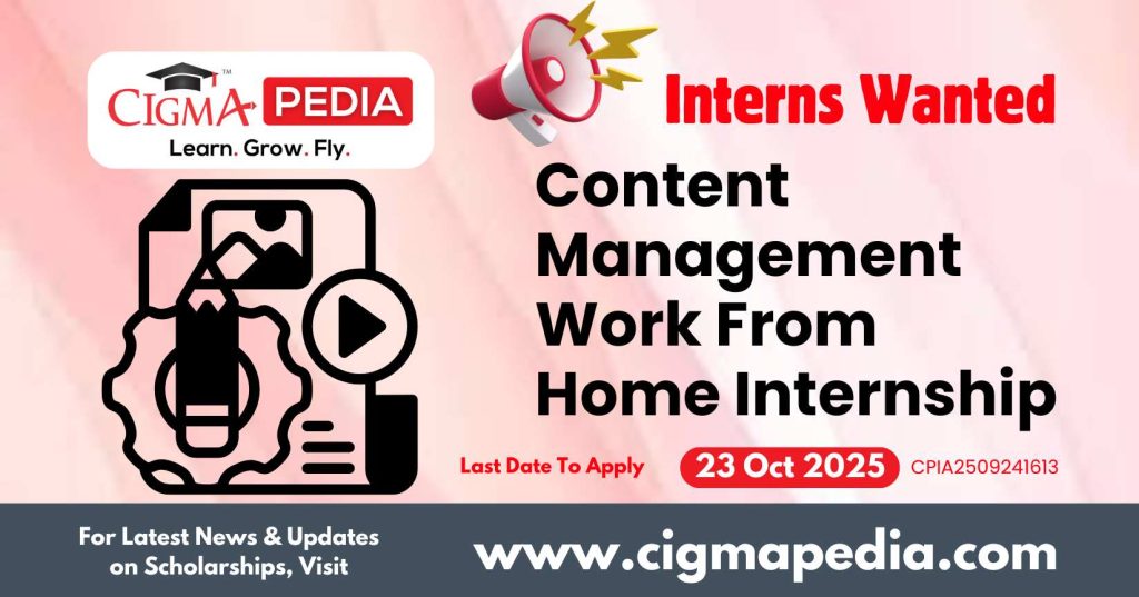 Content Management Work From Home Internship