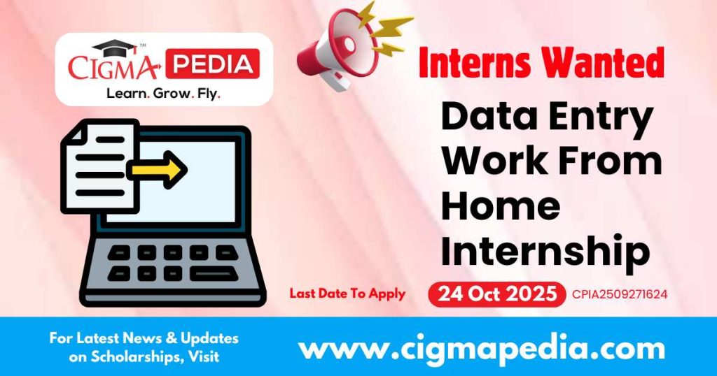 Data Entry Work From Home Internship
