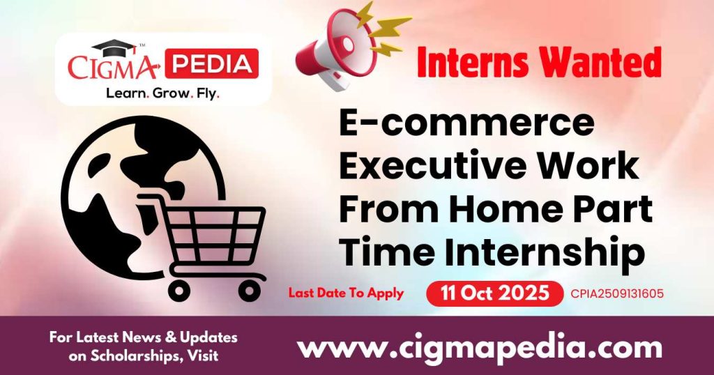 E-commerce Executive Work From Home Part Time Internship